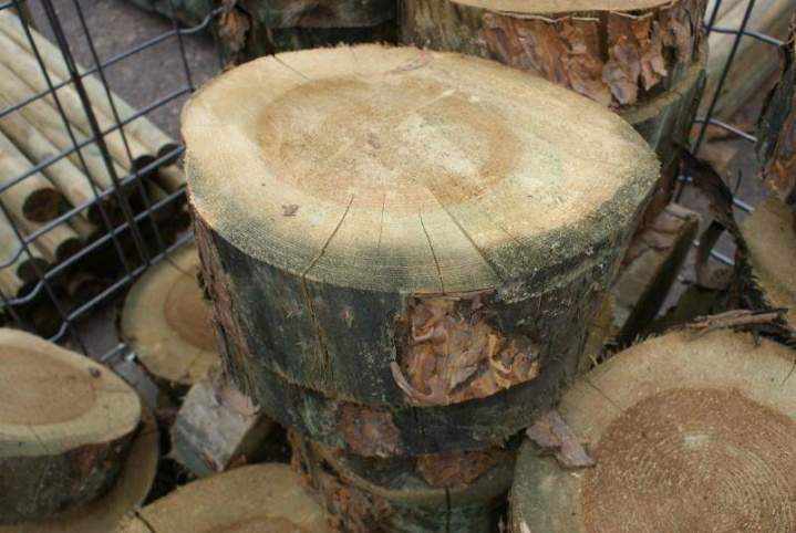 Fabricant de rondin de bois Lusse