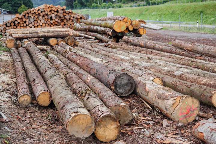 Sciage de bois Lusse