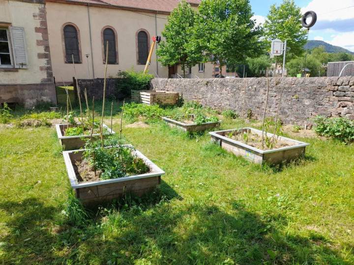 Fabricant de bordures en rondins Lusse