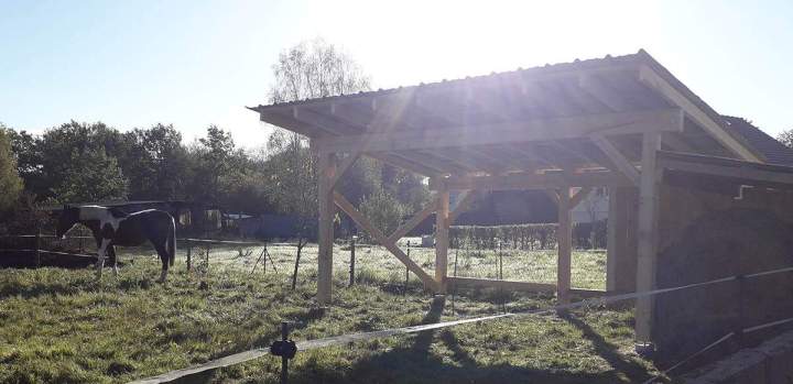 Fabricant de bois en autoclave Lusse