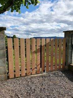 228663602 10219655693408697 1299146569305033894 n