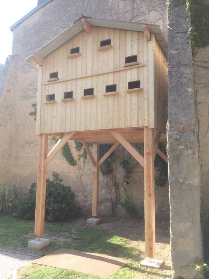 Fabricant de bois de charpente Lusse