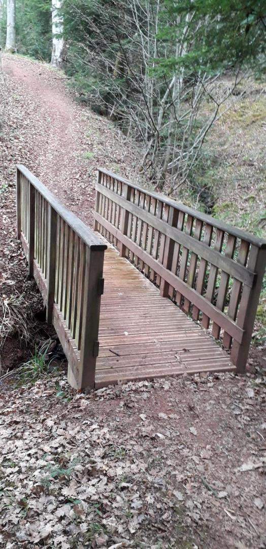 Fabricant de bois en autoclave Lusse