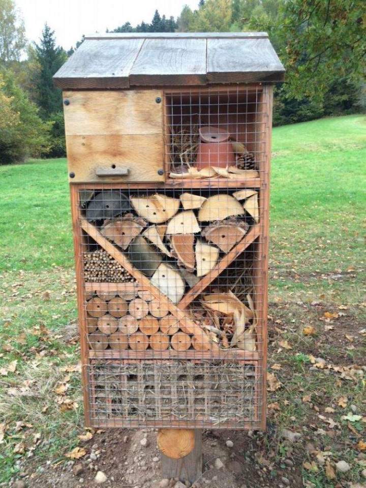 Fabricant de bois en autoclave Lusse