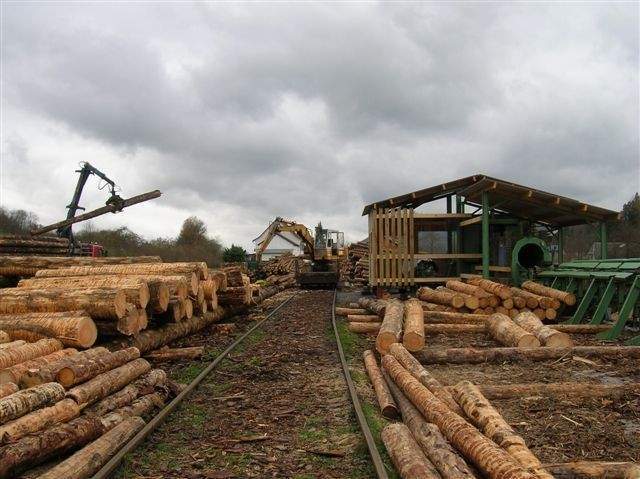Fabricant de rondin de bois Lusse
