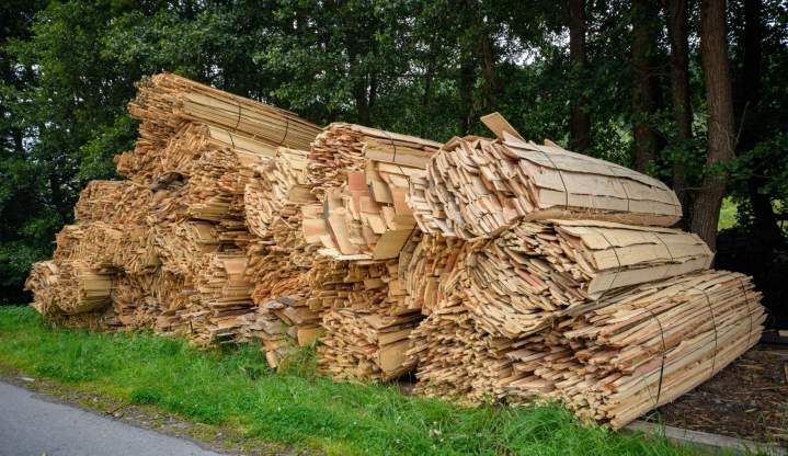 LE BOIS LUSSOIS 10 3