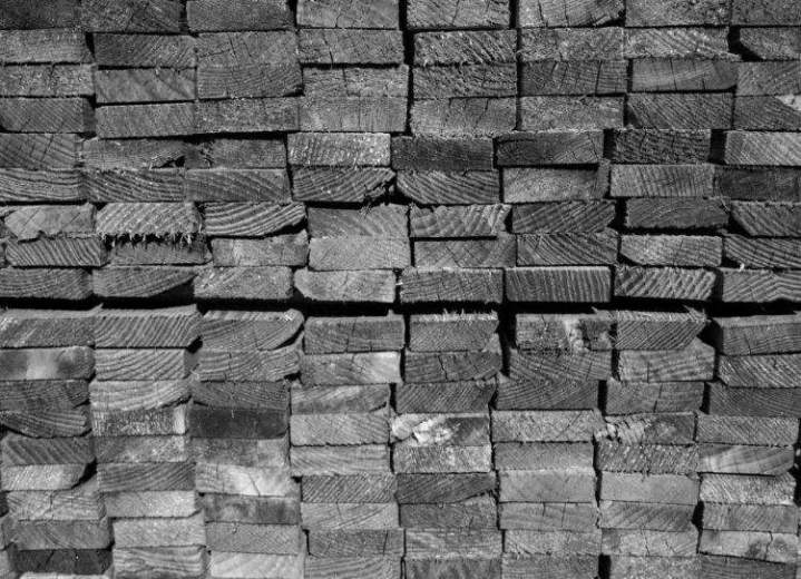 Activité bois Lusse