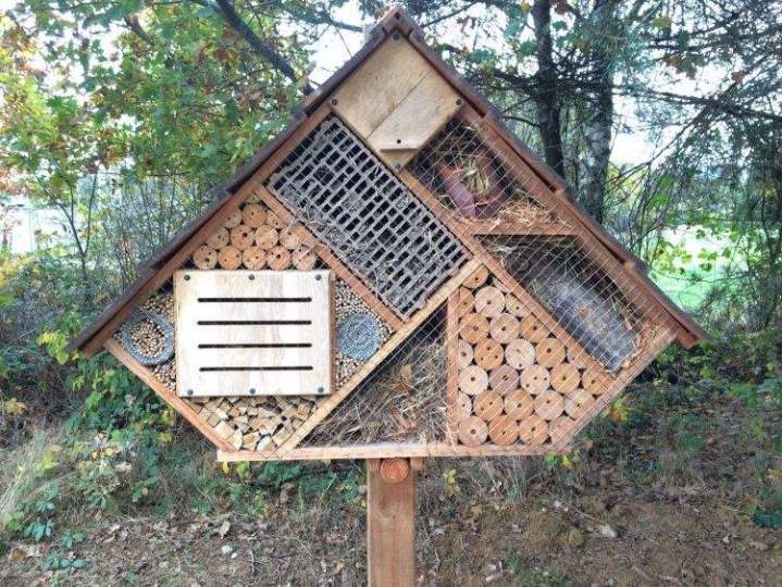 Fabricant de bois en autoclave Lusse