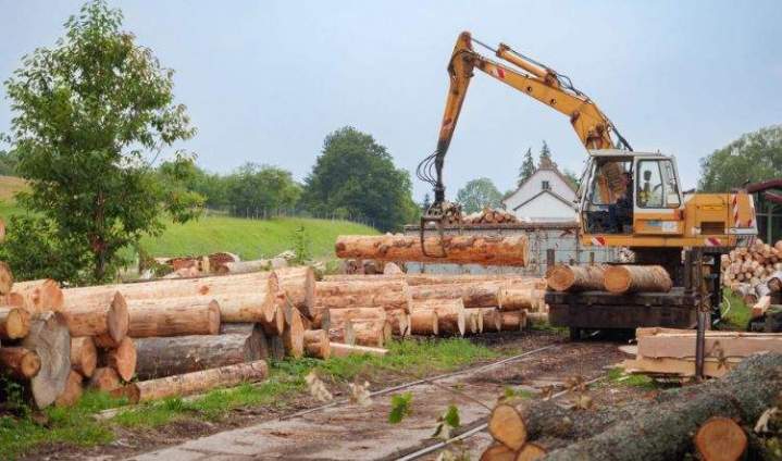 Sciage de bois Lusse