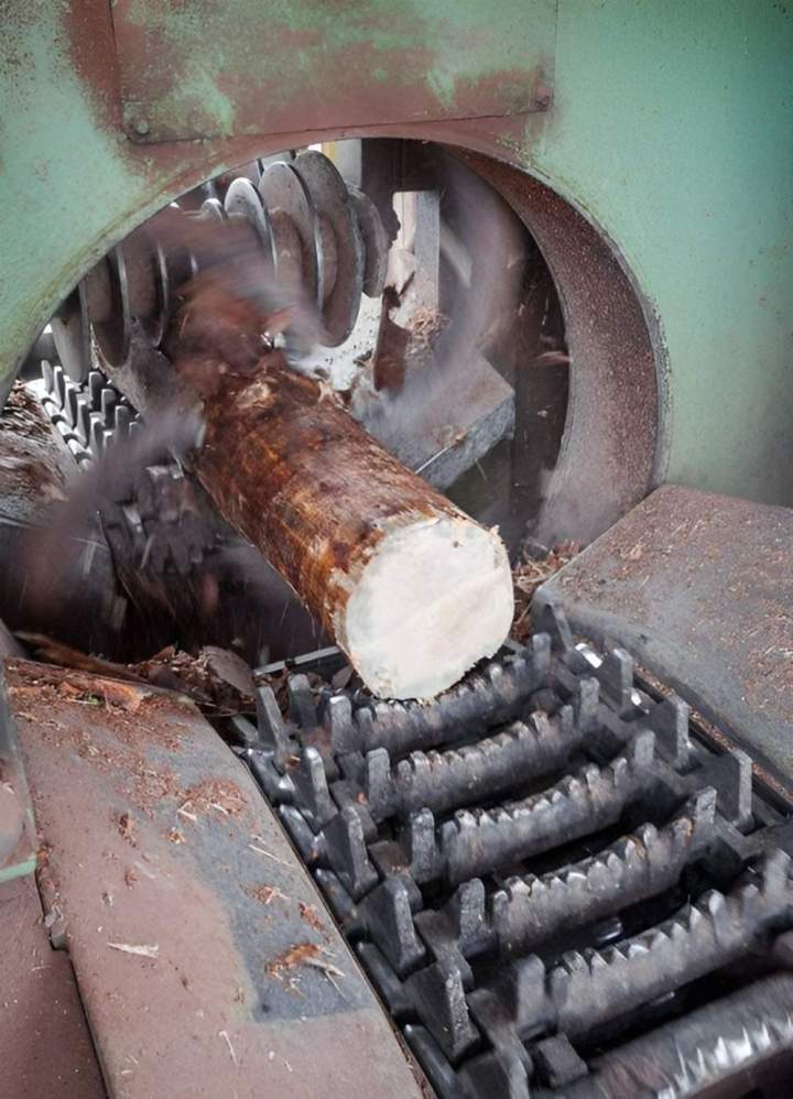 Sciage de bois Lusse