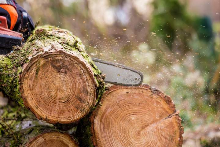 Fabricant de rondin de bois Lusse